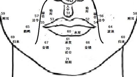 福鼻 面相|麦玲玲面相讲座之 鼻子 – 人相学